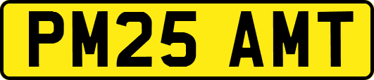 PM25AMT