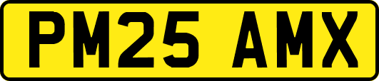 PM25AMX