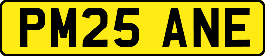 PM25ANE