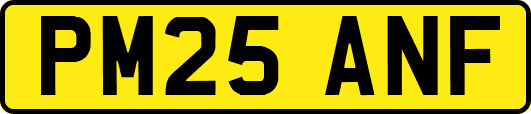 PM25ANF