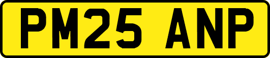 PM25ANP