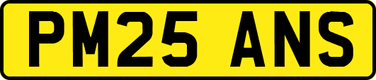 PM25ANS