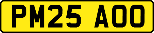 PM25AOO