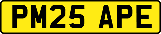PM25APE