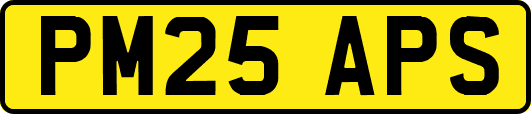 PM25APS
