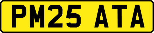 PM25ATA