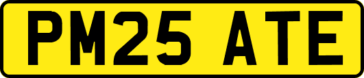 PM25ATE