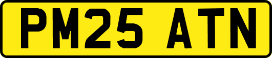 PM25ATN