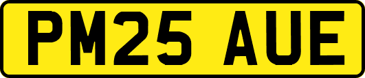 PM25AUE