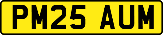 PM25AUM