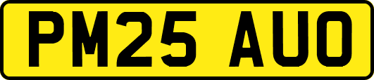 PM25AUO