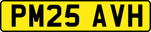 PM25AVH