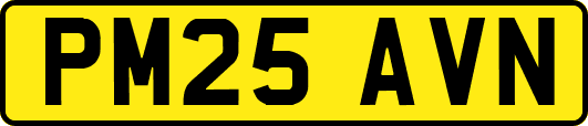 PM25AVN