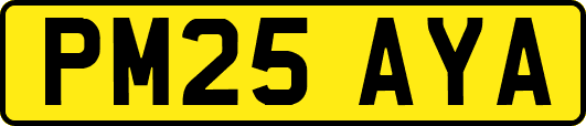 PM25AYA