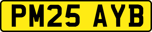 PM25AYB