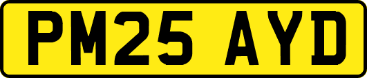PM25AYD