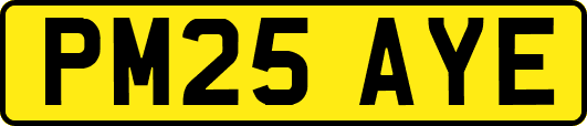 PM25AYE