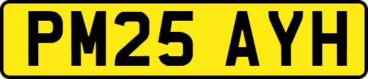 PM25AYH