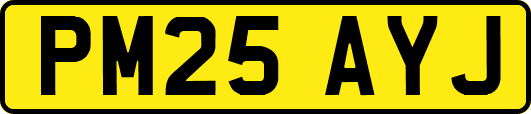 PM25AYJ