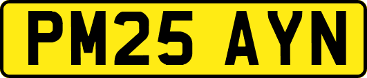 PM25AYN