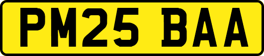 PM25BAA