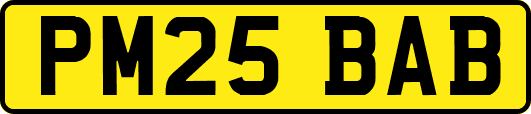 PM25BAB