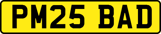 PM25BAD