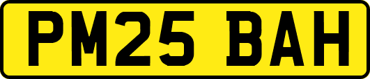 PM25BAH
