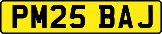 PM25BAJ