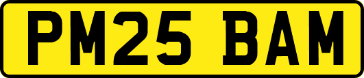 PM25BAM