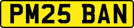PM25BAN