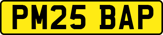 PM25BAP