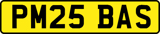 PM25BAS