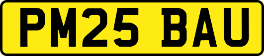 PM25BAU