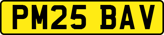 PM25BAV