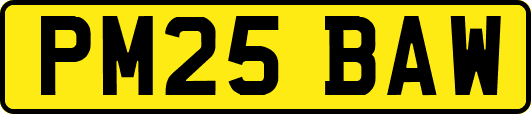 PM25BAW