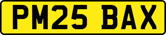 PM25BAX