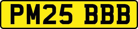 PM25BBB