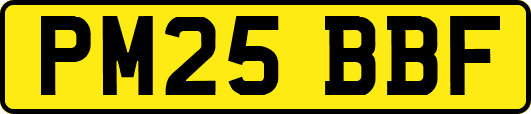 PM25BBF