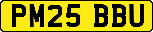 PM25BBU