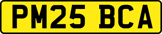 PM25BCA