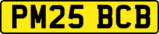 PM25BCB