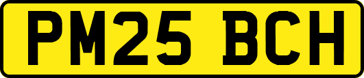 PM25BCH