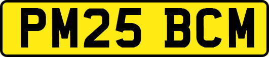 PM25BCM