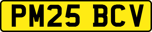 PM25BCV