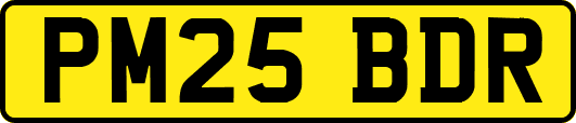 PM25BDR