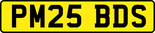 PM25BDS