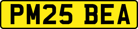 PM25BEA