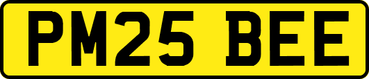 PM25BEE