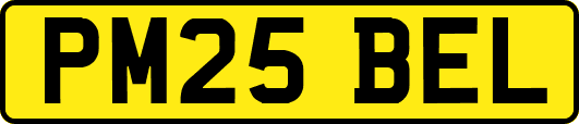 PM25BEL